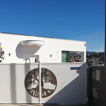 Hotel The Tree Of Life House Ponta do Sol  Exterior foto